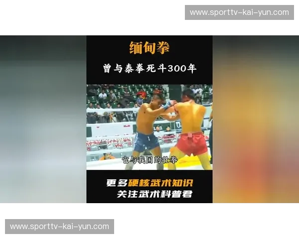 铁拳与头槌的终极碰撞：缅甸拳VS泰拳，谁才是亚洲站立格斗的野性巅峰？