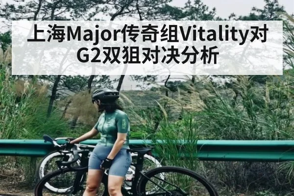 上海Major传奇组Vitality对G2双狙对决分析